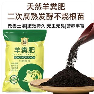 ����S�l���ЙC��ͨ�����߲˹��仨�ܵ׷ʷN�˹Ϲ��B�������ЙC��