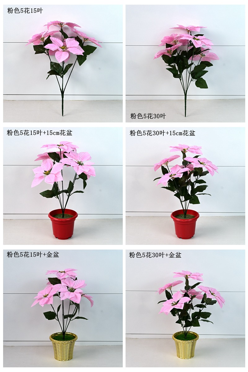 粉色5头详情页