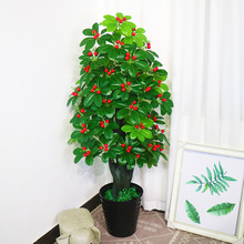 ֲ٘ҘӘ҃Կ͏db[Oֲ辰