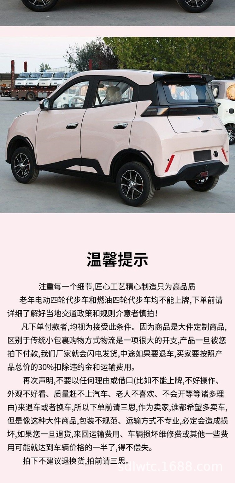 Seagull-Style Electric Four-Wheel Vehicle, Household Fuel-Electric Hybrid Car for Women, Fully Enclosed Lithium Battery Electric Vehicle