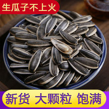 生葵花籽批发价格 生葵花籽批发价格品牌 图片 价格 生葵花籽批发价格批发 阿里巴巴 生葵花籽批发价格 生葵花籽批发价格品牌 图片 价格 生葵花籽批发价格批发 阿里巴巴