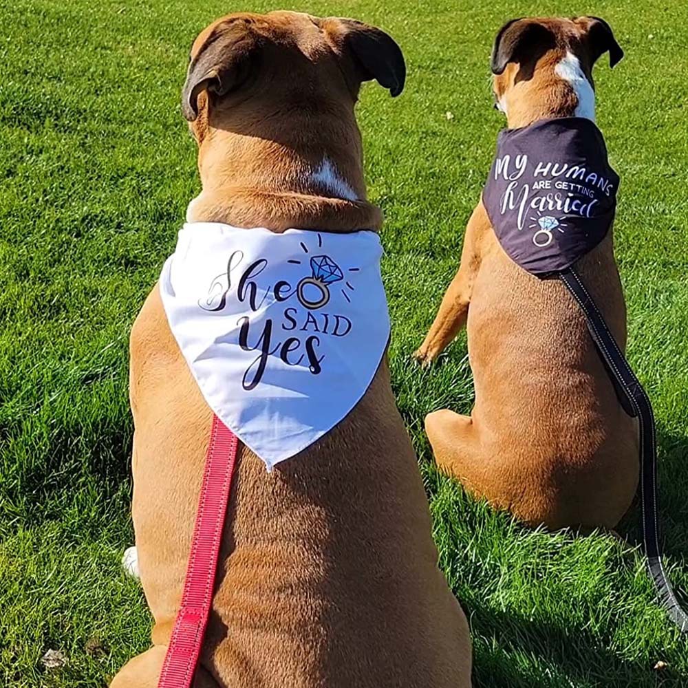 Tanpopo transfronteriza nueva mascota boda triángulo toalla mascota bufanda saliva toalla perro bufanda ropa para mascotas
