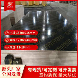 覆膜板 桉木模板 房建桥梁工程用 二次成型 整芯整板