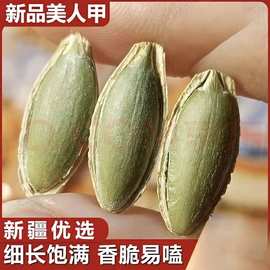 长粒美人甲南瓜子椒盐味大颗粒南瓜籽炒货零食袋装