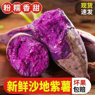 9���������r���_�m���������ع���������ɽ�������߲��r���ԷN