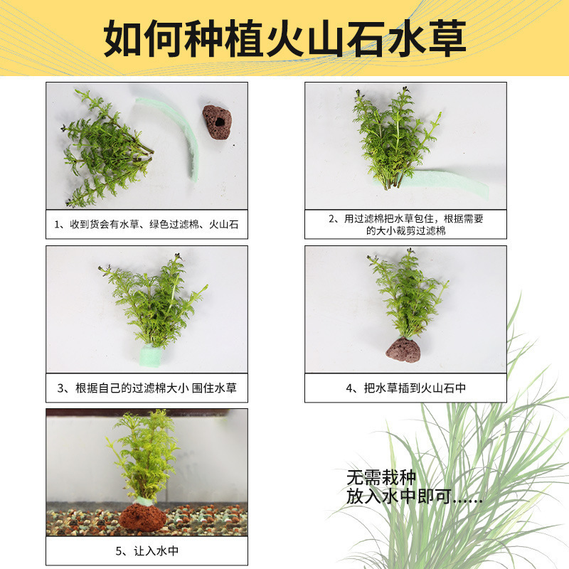 火山石水植物鱼缸净化水质懒人造景摆件全套底砂套餐性真|undefined