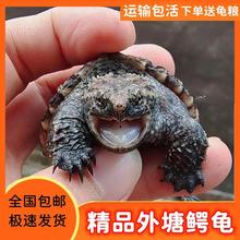 С�ڹ���� ������ӷ������� �������ﱱ��С���� ˮ�� ������