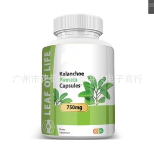 ���Q�羳TK���R�d�����m�z�� Kalanchoe Pinnata-Leaf capsules