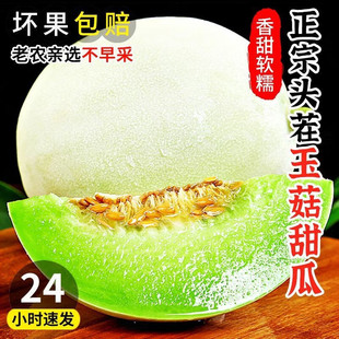 ܛŴ��������۹����������rˮ�����ں����񹽮���ˮ�������