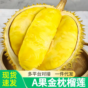 ����̩��������ɏ���rˮ��������ɏ����ܛŴ���������r�����l
