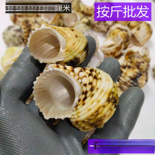 ��Ȼ����ؐ�� �ľ�з��ؐ�~�Ú��~���쾰�������l �y�ھGϔ��Ĭ�J