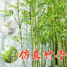 仿真竹子造景假竹子仿真植物室内外装饰隔断挡墙仿生加密竹子绿.
