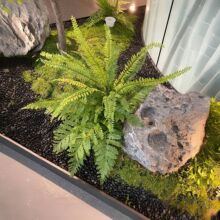 仿真绿植蕨类金丝猴盆栽 欧式仿真草蕨叶客厅植物装饰 把束波斯草