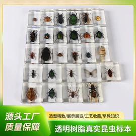 树脂工艺品;标本;钥匙扣及钥匙扣配件