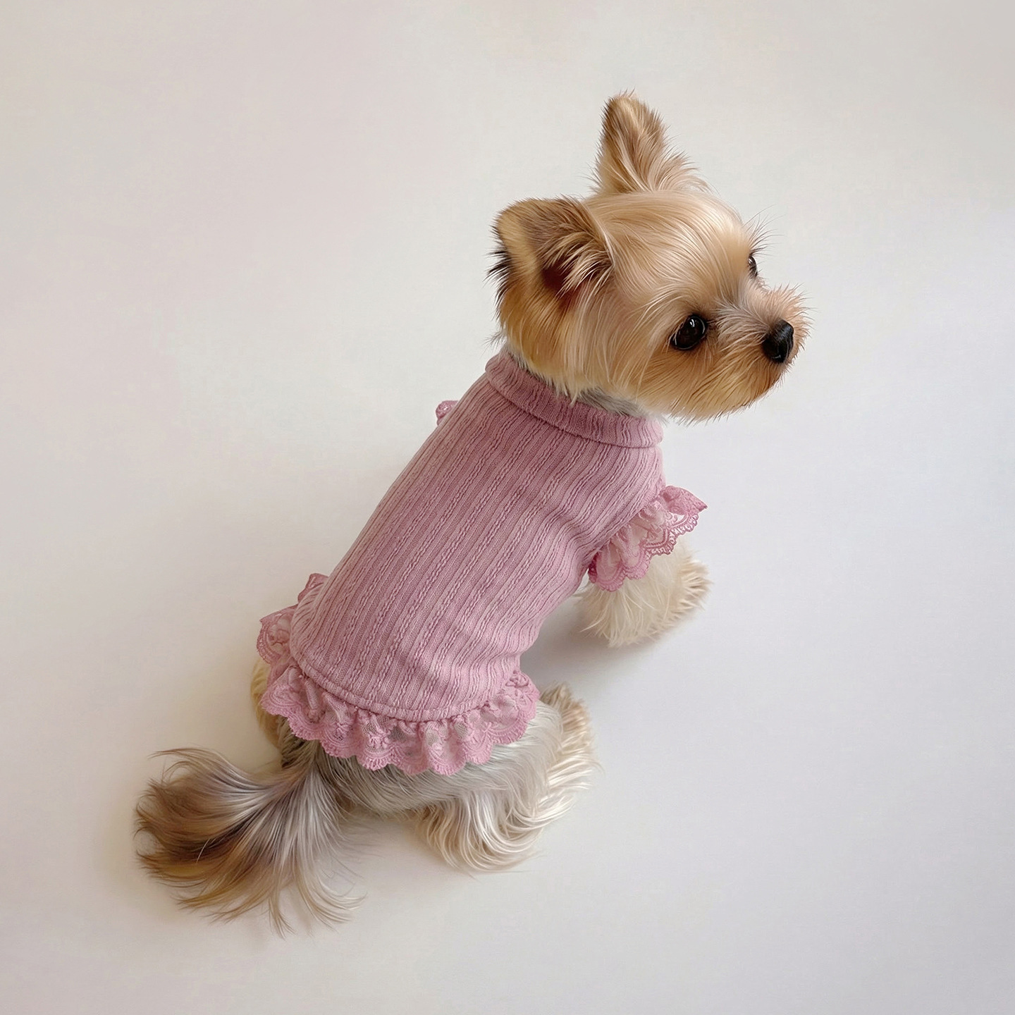 Kæledyrstøj Lille Hunde Bichon Frise Yorkshire Maltesisk Teddy Blonde Forår og Efterår Varmt Hundetøj 2026