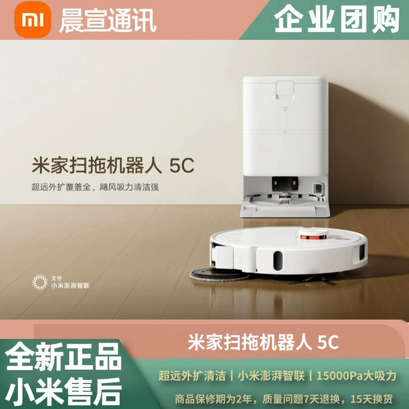 Sweeping and mopping robot 5C