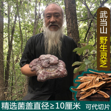 䮔ɽ`֥ҰƷBݾƌÿșĸ؛֥`֥