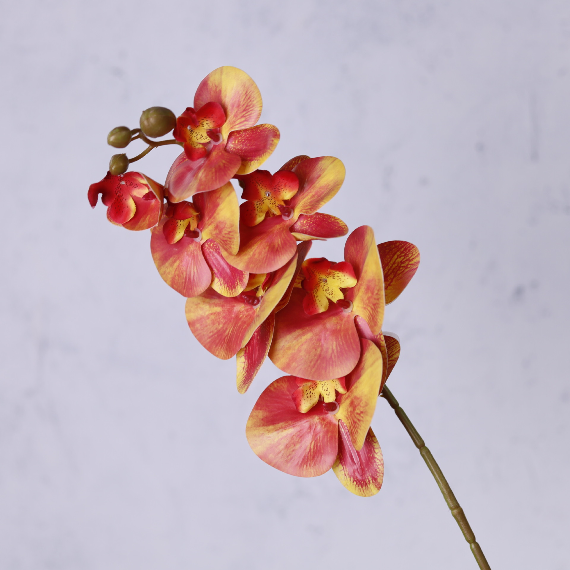 Impresión 3D de 7 cabezas de orquídeas mariposa flor de decoración de flores de alto nivel flor de nicho decoración floral decoración de sala de estar