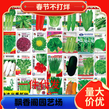 һl߲˷Nļ̨ͥԺС[}ѷN˷N