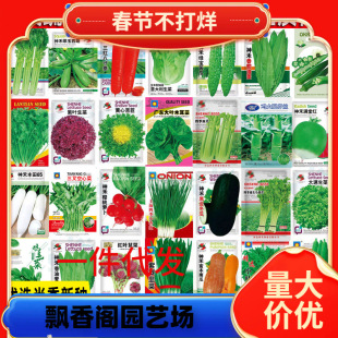 һ�����l�߲˷N���ļ��������̨ͥԺ����С�[�}������ѷN���˷N