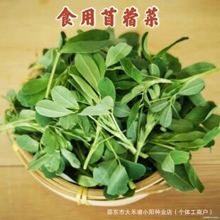ʳ����ޣ�˷N���B��Ұ�����ļ��ϻ���ޣѿ�ļ�Ұ���������߲˷N��