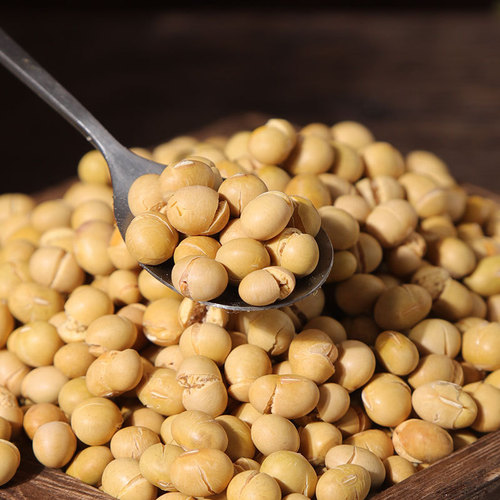 Chuanhaozi Food Original Roasted Soybeans 500g, Roasted Beans Snack, Sold by a Reliable Factory