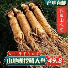 500g���r�˅��L��ɽ�ݾƌ��Ö|���@���I�B���r�����l