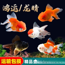 ���~���~�^�p�~��ˮ��ˮ�~С�ͺ��B�ͻ��\���~��С�ݽ��~���w