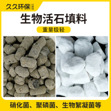 生物活石填料湿地填料河道治理工程建筑铺面透气轻质大陶粒颗粒