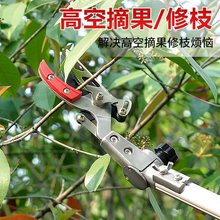 摘果高空剪树枝剪刀摘杨梅伸缩杆高枝剪修剪果树采摘龙眼荔枝