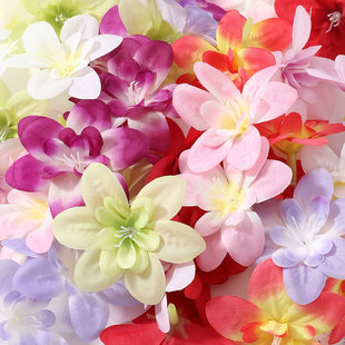 �����m���^���ﻨ�h�ػ����������[�P�������m�����Y���仨