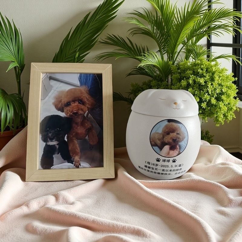 개/인쇄+사진-소형+ 6inch 사진+액자