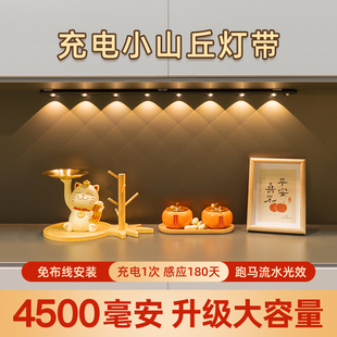 Large-Capacity Battery Self-Adhesive Light Strip Three-Tone Light Sensor Light with Wireless Charging Cabinet Light