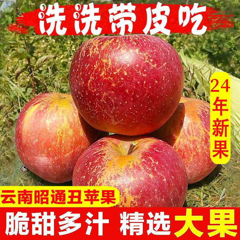 正宗云南昭通丑苹果水果新鲜当季整箱现摘冰糖心苹果甜脆一件代发