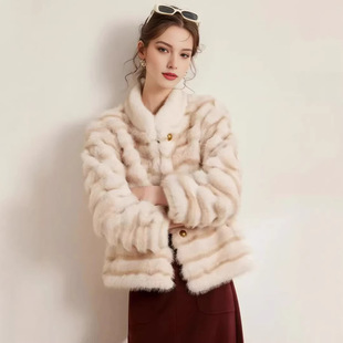 ˮ���qƤ������Ů�߼���2026���¿ů�������I�̿�h��ëë����