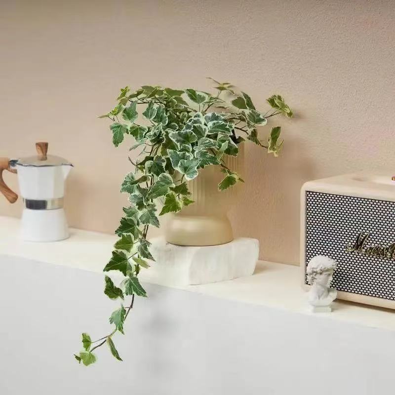 Buca nieve hiedra en maceta interior modelado creativo bonsai balcón sala de estar cesta colgante colgante planta verde