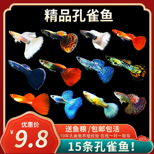 6BVQ��ȸ�~�Pβ�~С�͟Ꭷ�~����w��ˮ���B�ͻ���R�~�^�p�~����