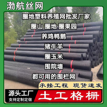 ȦBֳŔruoھW@ȦBֳھW׾W