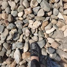 景观石景观工程湿地公园大小规格鹅卵石奇石天然石古朴驳岸石