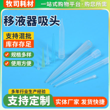 实验室用一次性pp塑料吸头移液器枪头多规格吸头批发试管
