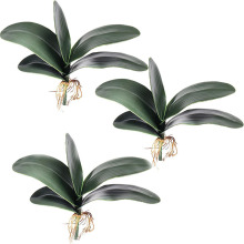 m~ָ m~ m ٻ~Ӳ廨~ӹSֱN