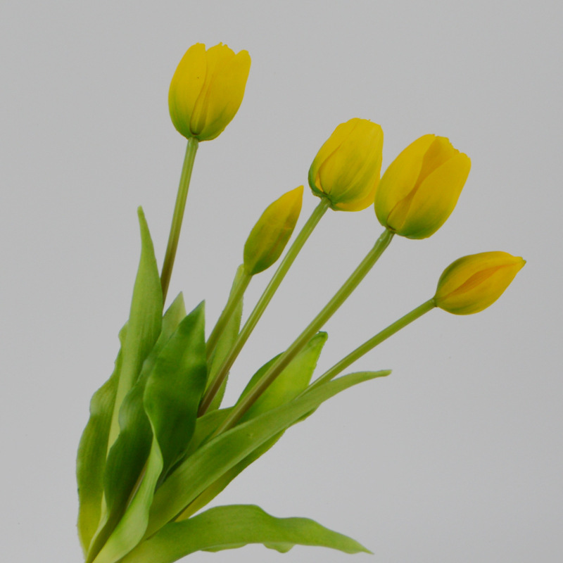 Simulación de flores de tulipas de goma blanda PE látex de goma de goma de flores de tulipas Simulación de flores humectantes 5 tulipas