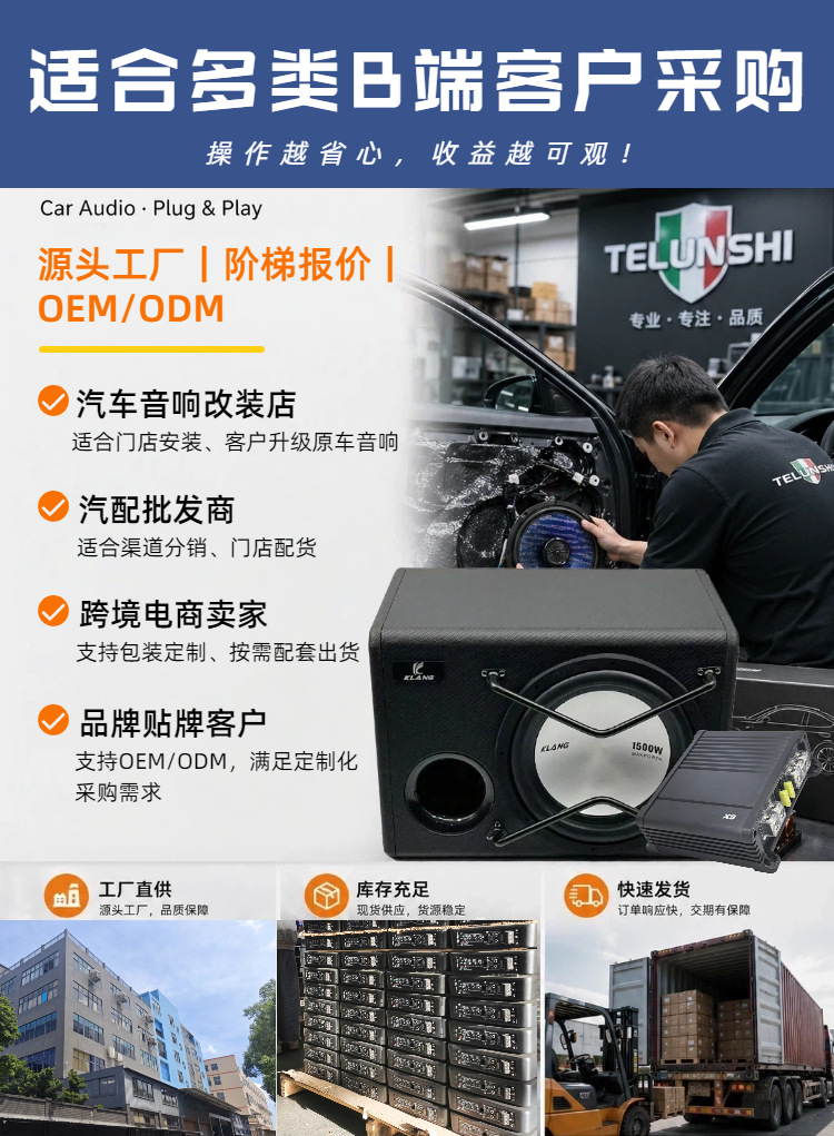 Source Factory Car Wooden Box Active Subwoofer 10inch High-Power Trunk-Mounted Car Audio Modification Wholesale