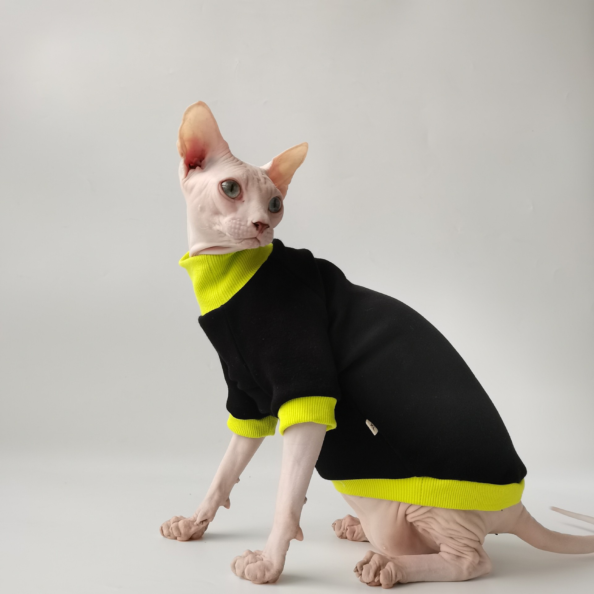Pet Sweater Image 3
