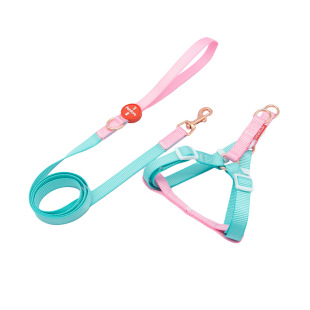 PETDORA�R����ײɫ�����ر��������K���b����Ϣ���{������޹��K