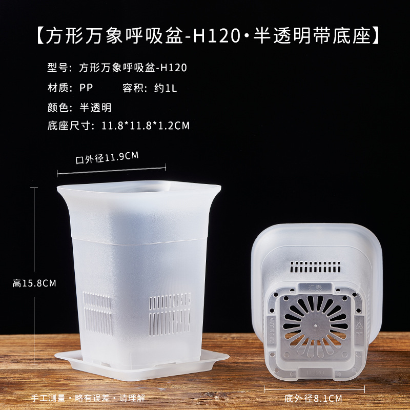 120 square vientiane breathing basin - plus base translucent outer diameter 11.9cm