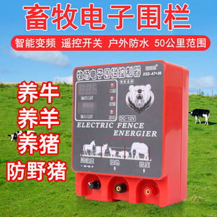 ����늇����}�_��Ӈ���̫���늾W��Ұ�i�Rţ���Bֳ늇���ϵ�y