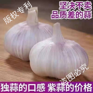 ɽ�|24���ش��|�������lƤ�����^�ؼ���Ƥ�¸������r