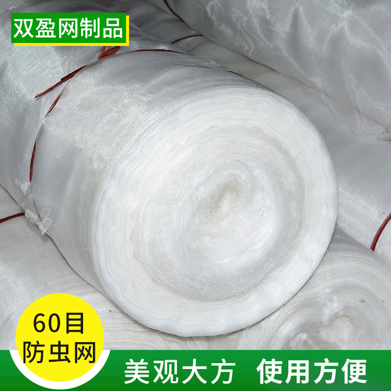 厂家农用大棚蔬菜防虫网60目防护聚乙烯防虫网蔬菜果树防虫网供应