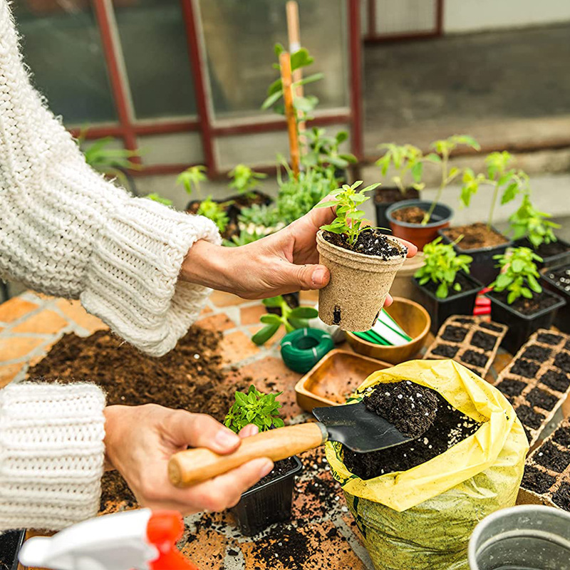 厂家直供塑料花盆种植套装亚马逊跨境适用新手初学者入门种植套装